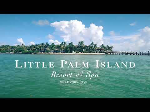 Still from Little Palm Island: Paradise Reborn